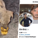 Rajasthan में पुरुषों के एक समूह ने एक पिल्ले को Alcohol पिलाई
