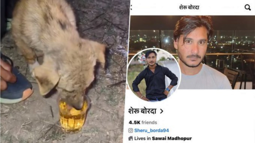 Rajasthan में पुरुषों के एक समूह ने एक पिल्ले को Alcohol पिलाई