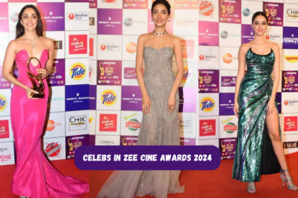 Celebs In Zee Cine Awards 2024