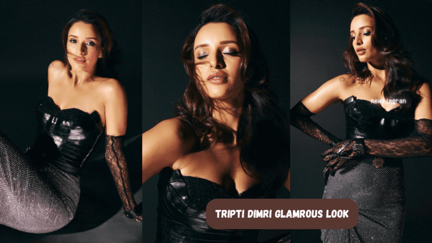 Tripti Dimri Glamrous Look