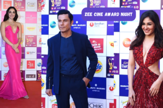 Zee Cine Award Night