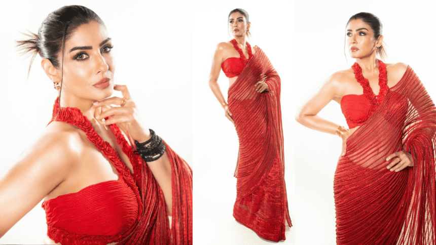 Raveena Tandon Killer And Smashing Look In Saree