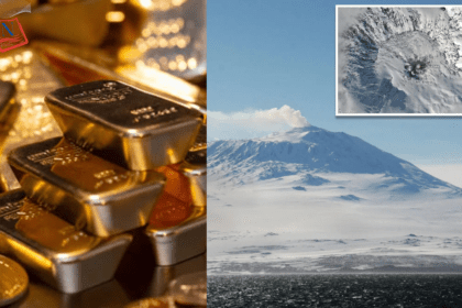 Volcano In Antartica Is Spewing Real Gold Everyday