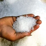 india-sugar-export-halt-el-nino-ethanol-global-sugar-supply-crisis