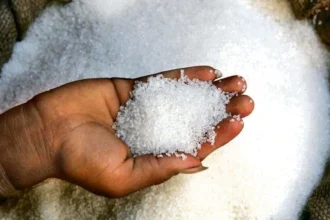india-sugar-export-halt-el-nino-ethanol-global-sugar-supply-crisis