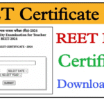 REET Certificate 2025 Out Know The Validity And Steps To Download PDF