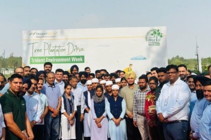 Trident Group Marks Environment Week 2025 with Large-Scale Community Action and Green Initiatives