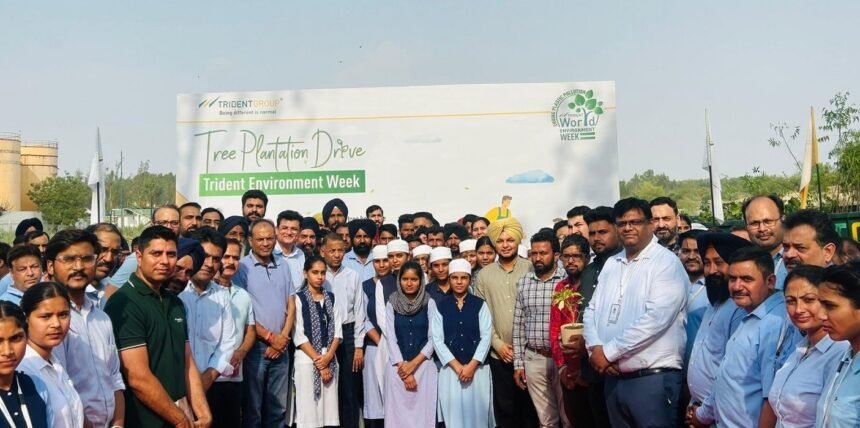 Trident Group Marks Environment Week 2025 with Large-Scale Community Action and Green Initiatives
