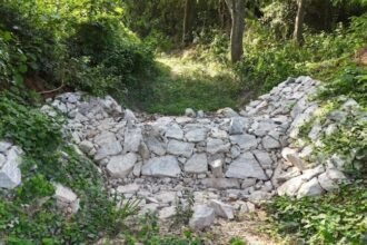 Reclaiming Water, Restoring Hope for Kolar: The Art of Living & Ashirvad