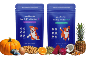 Pawsome Labs is Raising the Bar for Pet Wellness in India