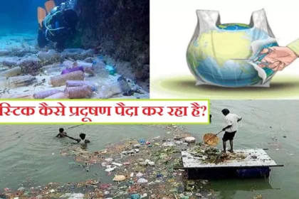 प्लास्टिक मुक्त जीवनशैली: 2025 में प्लास्टिक कम करने के उपाय और लाभ