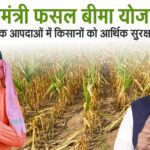 ताज़ा अपडेट: फसल बीमा राशि (PMFBY) – अगस्त 2025