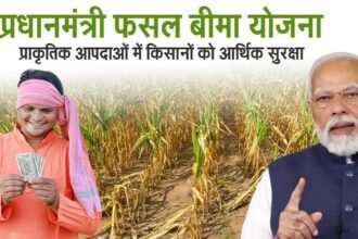 ताज़ा अपडेट: फसल बीमा राशि (PMFBY) – अगस्त 2025