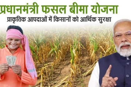ताज़ा अपडेट: फसल बीमा राशि (PMFBY) – अगस्त 2025