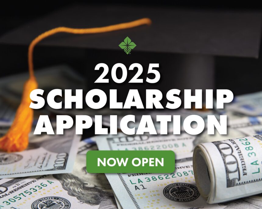 College Scholarships 2025 – Central & State Schemes