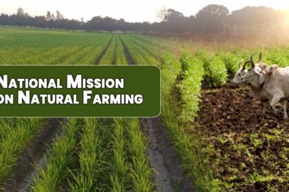 प्रधानमंत्री मोदी लॉन्च करेंगे ₹2,481 करोड़ की नेशनल मिशन ऑन नेचुरल फार्मिंग