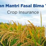 क्या PM-Kisan से मिलेगा मुफ्त फसल बीमा? जानिए सच्चाई