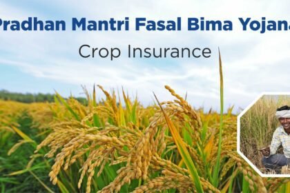 क्या PM-Kisan से मिलेगा मुफ्त फसल बीमा? जानिए सच्चाई