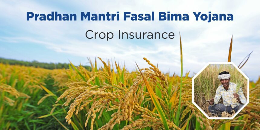 क्या PM-Kisan से मिलेगा मुफ्त फसल बीमा? जानिए सच्चाई