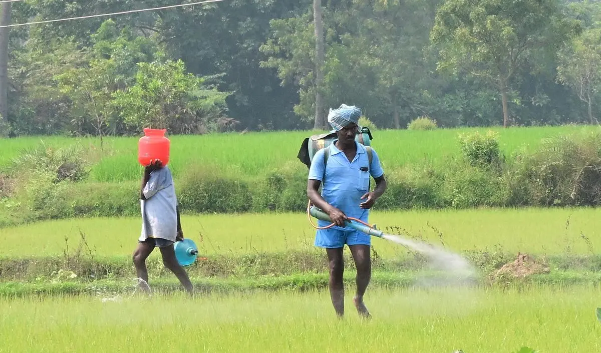 Fertilizer Subsidy 2025 – Latest Govt Notification