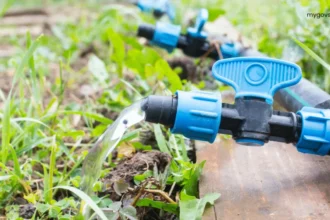 Per Drop More Crop योजना 2025: कम पानी में ज्यादा उपज की नई क्रांति