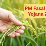कृषि बीमा 2025: बीमा राशि का भुगतान, समयसीमा और नए नियम