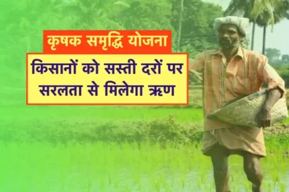 ग्रामीण कृषि विकास योजना 2025 – State Govt Programs, Subsidy और किसान लाभ