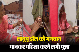 Labubu Doll 2025 – पूजा और सोशल मीडिया का नया Viral ट्रेंड