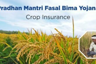 कृषि बीमा 2025: सामान्य प्रश्न, भ्रांतियाँ और ताज़ा अपडेट्स