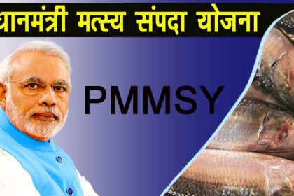 मछुआरा कल्याण योजना 2025 – Fishermen Schemes Updates