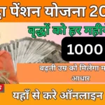 राष्ट्रीय वृद्धावस्था पेंशन योजना 2025 अपडेट: पेंशन में वृद्धि, सत्यापन अभियान और बिहार का DBT विस्फोट