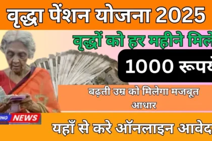राष्ट्रीय वृद्धावस्था पेंशन योजना 2025 अपडेट: पेंशन में वृद्धि, सत्यापन अभियान और बिहार का DBT विस्फोट