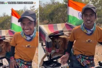 वायरल पेट स्टोरीज़ 2025: भारत की सबसे भावुक और प्रेरणादायक कहानियाँ