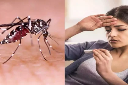 डेंगू और मलेरिया 2025 – बढ़ते केस और सरकार के कंट्रोल प्लान्स