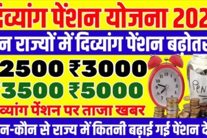 Disability Pension Yojna 2025 – Eligibility, Amount & State-wise Updates