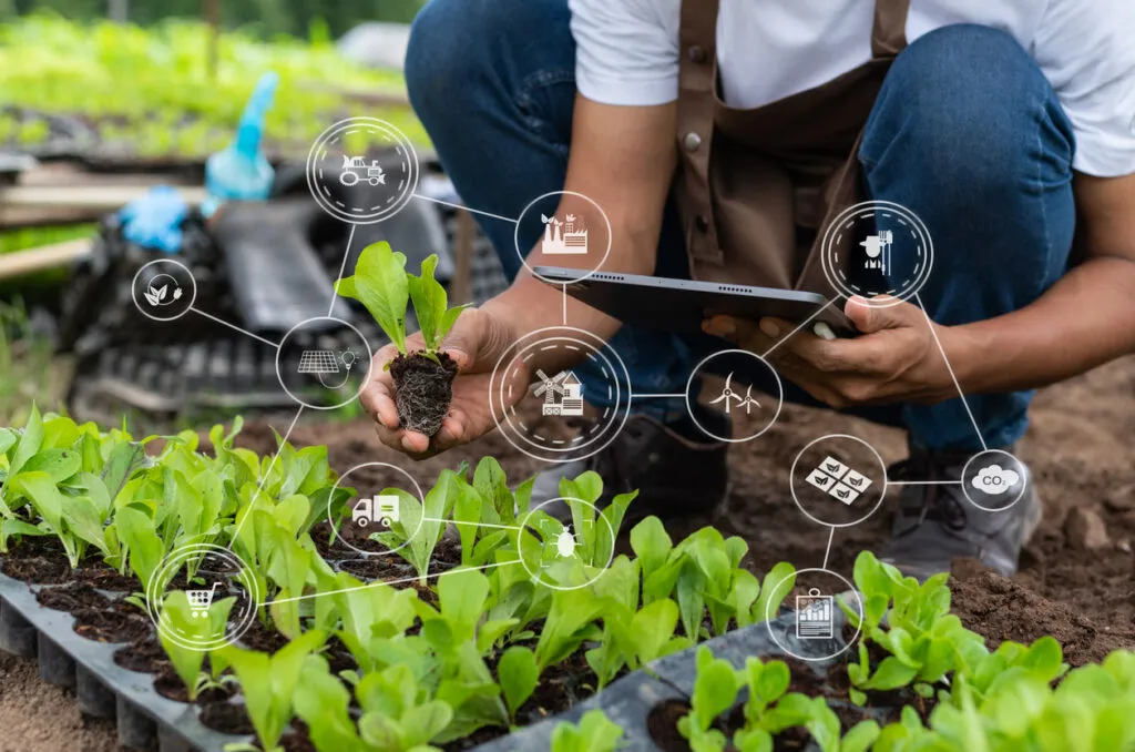 Rural Development 2025 – Villages Going Digital, Skill & E-Governance