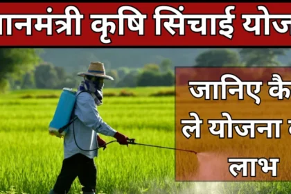 प्रधानमंत्री कृषि सिंचाई योजना 2025 – लाभ, सब्सिडी और ऑनलाइन आवेदन गाइड