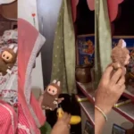 Labubu डॉल पूजा वायरल वीडियो – इंटरनेट पर ट्रेंड