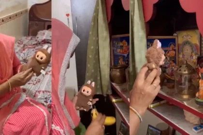 Labubu डॉल पूजा वायरल वीडियो – इंटरनेट पर ट्रेंड