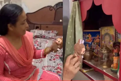 कन्या देवी या फ़न डॉल? वायरल वीडियो में Labubu पर पूजा, इंटरनेट पर खासी धूम