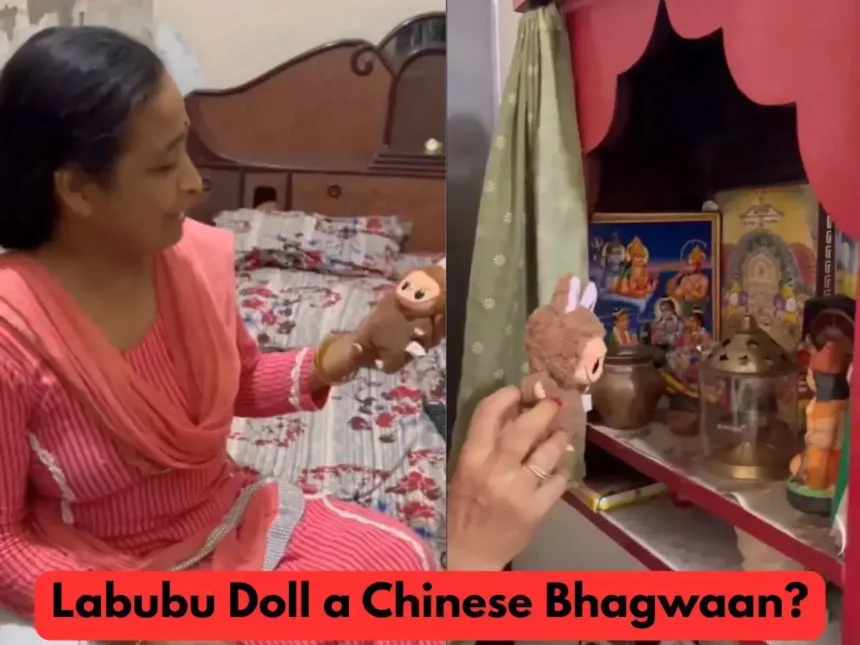 कन्या देवी या फ़न डॉल? वायरल वीडियो में Labubu पर पूजा, इंटरनेट पर खासी धूम