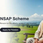 NSAP 2025: पेंशन बढ़ोतरी पर चर्चा, बिहार ने ₹271 करोड़ से 62 लाख लाभार्थियों को DBT किया ट्रांसफर