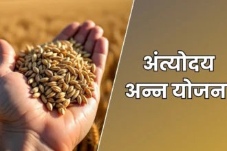 अंत्योदय अन्न योजना 2025: हरदोई में 20-वर्ग शुरू होगा मुफ्त अनाज वितरण, AAY लाभार्थियों को 35 किलो महीने तक अनाज निशुल्क