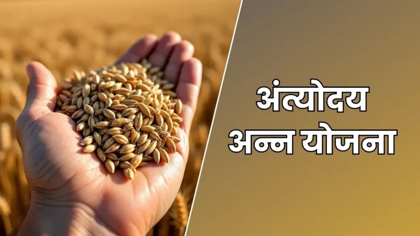 अंत्योदय अन्न योजना 2025: हरदोई में 20-वर्ग शुरू होगा मुफ्त अनाज वितरण, AAY लाभार्थियों को 35 किलो महीने तक अनाज निशुल्क