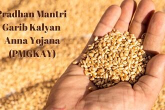 PMGKAY अब 2029 तक: 80 करोड़ लोगों को हर महीने 5 किलो मुफ्त अनाज