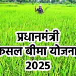 PMFBY 2025 अपडेट: बीमा दावे तेज़, किसान नामांकन में 32% वृद्धि और नई सुरक्षा प्रावधान