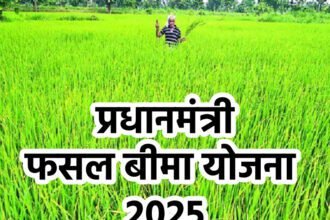 PMFBY 2025 अपडेट: बीमा दावे तेज़, किसान नामांकन में 32% वृद्धि और नई सुरक्षा प्रावधान