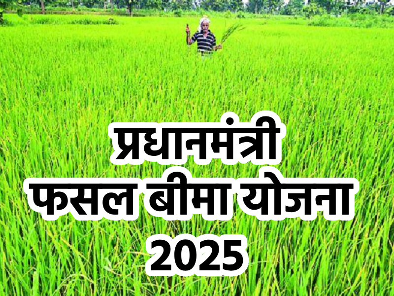 PMFBY 2025 अपडेट: बीमा दावे तेज़, किसान नामांकन में 32% वृद्धि और नई सुरक्षा प्रावधान