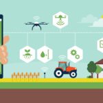 Rural Development 2025 – Villages Going Digital, Skill & E-Governance