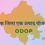 एक जिला एक उत्पाद (ODOP) योजना: स्थानीय उत्पादों को वैश्विक पहचान दिलाने की पहल